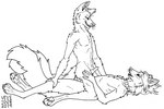 anal anal_penetration animal_genitalia animal_penis anthro anthro_on_anthro anthro_penetrated anthro_penetrating anthro_penetrating_anthro arm_tuft canine_genitalia canine_penis cheek_tuft claws collar duo ear_piercing erection eye_contact facial_tuft fangs finger_claws fluffy fluffy_tail genitals hand_on_knee hand_on_leg inner_ear_fluff knot leg_tuft looking_at_another lying male male/male male_penetrated male_penetrating male_penetrating_male narrowed_eyes neck_tuft on_back open_mouth pawpads penetration penis piercing sex shoulder_tuft tail teeth tuft whiskers skyelegs canid mammal 2019 black_and_white dated monochrome signature