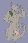 2021 5_fingers anteater anthro arm_tattoo athletic athletic_anthro athletic_male balls beastars erection fingers flaccid flexing foreskin fur genitals grey_body grey_fur humanoid_genitalia humanoid_hands humanoid_penis kibi_(beastars) looking_at_viewer male mammal muscular muscular_anthro muscular_male navel nipples nude pecs penis pilosan pinup portrait pose shoulder_tattoo signature solo standing tamandua tattoo thorso_the_vile three-quarter_portrait tongue tongue_out xenarthran