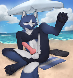 4_toes animal_genitalia animal_penis anthro balls beach beach_towel beach_umbrella biped black_clothing black_eyebrows black_nose black_paws black_swimming_trunks black_swimwear blue_body blue_ear_tips blue_ears blue_fur canine_genitalia canine_penis cheek_tuft christian_cross christian_symbol claws clothing cloud contrail cross cross_(marking) detailed_background dipstick_ears ear_markings ear_piercing ear_ring embarrassed erection eyebrows facial_tuft feet foot_focus front_view fur genitals grumpy hands_on_ground head_tuft hindpaw jewelry jewelry_only knot knotted_penis male markings multicolored_ears narrowed_eyes navel neck_tuft nude outside parasol pattern_towel pawpads paws penis piercing pink_penis presenting raised_foot religion religious_symbol ring_piercing sand sea sheath silver_(metal) silver_jewelry sitting snout solo striped_towel stripes surgical_suture swimming_trunks swimwear tail toe_claws toes towel tuft vein veiny_penis water white_balls white_body white_fur white_inner_ear white_markings white_sclera ketvesce christianity luzenith_lawchi canid canine canis dire_wolf mammal prehistoric_species wolf 2026 absurd_res digital_drawing_(artwork) digital_media_(artwork) hi_res portrait shaded