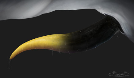 animal_genitalia big_penis black_penis erection feral genital_focus genital_slit genitals gradient_penis male penis penis_focus solo tapering_penis yellow_penis rimowill mythology dragon mythological_creature mythological_scalie scalie hi_res signature