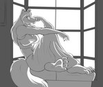 4_toes anthro breasts claws clothed clothing feet female humanoid_feet midriff plantigrade sitting soles solo toe_claws toes window window_seat conditional_dnp zp92 callie_barker canid canine canis collie domestic_dog herding_dog mammal pastoral_dog rough_collie sheepdog hi_res monochrome