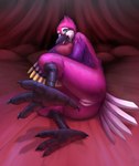 4_toes anisodactyl anthro anus avian_feet beak blue_eyes breasts feathered_arms feathered_wings feathers feet female foot_focus genitals looking_at_viewer lying nude on_side open_beak open_mouth pink_body pink_feathers pussy solo tail tail_feathers toes winged_arms wings igazella jessi_brightfeather_(songbiird) avian bird corvid jay_(bird) oscine passerine hi_res