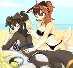 5_fingers anthro beach bikini bikini_bottom bikini_top breasts brown_body brown_eyes brown_fur brown_hair brown_tail butt claws clothed clothed_anthro clothed_female clothing cloud countershade_torso countershading day duo female female/female finger_claws fingers fur hair lying navel on_front sand sea sky smile swimwear tail tan_body tan_fur tan_tail two-piece_swimsuit water yellow_eyes wolflady danika_(wolflady) canid canine canis domestic_dog mammal 2025 digital_media_(artwork)