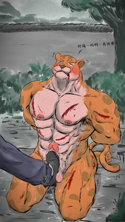 anthro balls barefoot begging_for_mercy blood blush bodily_fluids bruised bruised_balls butt cock_and_ball_torture cum duo erection feet foot_fetish foot_on_penis foot_play forced fur genital_fluids genital_torture genitals male male/male nipples nude open_mouth pecs penile penis spots stepping_on_balls sweat tail text toes tongue wounded kowloon7050 nobody_(2025) felid leopard mammal pantherine 2025 9:16 chinese_text colored digital_drawing_(artwork) digital_media_(artwork) hi_res portrait widescreen