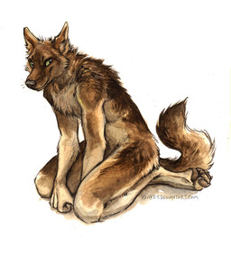 2015 anthro brown_fur canine claws dog fur german_shepherd grey_eyes kenket male mammal nude pawpads paws plain_background sketch smile solo white_background white_fur
Rating: Safe
Score: 17
User: TheGreatWolfgang
Date: February 15, 2015 2015 anthro brown_fur canine claws dog fur german_shepherd grey_eyes kenket male mammal nude pawpads paws plain_background sketch smile solo white_background white_fur
Rating: Safe
Score: 17
User: TheGreatWolfgang
Date: February 15, 2015