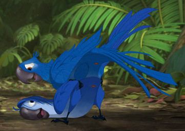 anatomically_correct animal_genitalia ass_up avian bipedal bird blu cloaca duo feral male male/male mcfan on_top parrot rio roberto sex
Rating: Explicit
Score: 8
User: xes
Date: October 11, 2014 anatomically_correct animal_genitalia ass_up avian bipedal bird blu cloaca duo feral male male/male mcfan on_top parrot rio roberto sex
Rating: Explicit
Score: 8
User: xes
Date: October 11, 2014