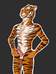 anthro balls blue_eyes erection genitals hands_on_hips humanoid_genitalia humanoid_penis male nipples nude penis piercing solo donec_tigris jason_tigris felid mammal pantherine tiger absurd_res hi_res