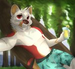 anthro armpit_hair beach beverage biped body_hair bottomwear camera_view clothed clothing forest hammock lemonade looking_at_viewer male outside plant pubes seaside shorts solo swimwear tree jklenvu552 canid canine canis dhole mammal absurd_res hi_res