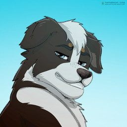 feral fur gaze glance hair male outside sky smile smirk teeth thathornycat canid canine canis collie domestic_dog herding_dog mammal pastoral_dog sheepdog 1:1 hi_res