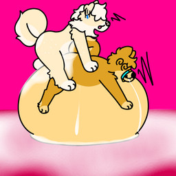 anthro bodily_fluids cum cum_covered cum_inflation cum_inside cum_on_ground cum_pool curled_tail duo excessive_cum excessive_genital_fluids fur genital_fluids genitals inflation knot leaking_cum male male/male messy on_top penis slightly_chubby tail white_body white_fur yellow_body yellow_fur doug_polaris doshiba_solaris shiroi_yuki canid canine canis domestic_dog mammal shiba_inu spitz absurd_res hi_res