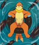 2_tails animal_genitalia anthro balls blush countershading detailed_background floating fully_sheathed fur genitals inflatable inner_tube looking_at_viewer male multi_tail navel nude one_eye_closed orange_body orange_fur partially_submerged penis sheath solo tail water wet wet_body mr.smile nintendo pokemon kai_(mr.smile) buizel generation_4_pokemon pokemon_(species) 2024 absurd_res digital_media_(artwork) hi_res