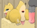 after_anal animal_genitalia animal_penis anus blue_eyes duo equine_genitalia equine_penis gaping gaping_anus genitals looking_at_viewer looking_pleasured male male/male penis size_difference smaller_male tongue tongue_out yellow_body malawrist nintendo pokemon generation_1_pokemon pokemon_(species) sandshrew