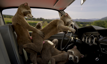 all_fours anal anal_penetration animal_genitalia animal_penis anthro anthro_on_anthro anthro_penetrated anthro_penetrating anthro_penetrating_anthro ass_up biped brown_body brown_fur butt car driving erection feet from_behind_position fur genitals group group_sex half-closed_eyes holding_tail inside_car inside_vehicle intraspecies looking_back male male/male male_penetrated male_penetrating male_penetrating_male mismatched_animal_penis mismatched_genitalia mismatched_penis mouth_hold narrowed_eyes nude object_in_mouth open_mouth penetration penile penile_penetration penis selfcest sex smile square_crossover standing standing_sex tail teeth threesome toes train_position trio vehicle no-name-no-problem guardians_of_the_galaxy marvel rocket_raccoon mammal procyonid raccoon 3d_(artwork) 5:3 digital_media_(artwork) hi_res