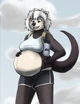 anthro backpack belly big_belly black_bottomwear black_clothing black_shorts bottomwear bra breasts clothed clothing cloud female flask glistening glistening_belly grey_eyes hair hand_on_belly pregnant pregnant_anthro pregnant_female shorts sky_background solo sports_bra underwear white_hair huandoodles ammil_(huandoodles) mammal mustelid otter hi_res tagme