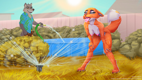 anthro bodily_fluids boyfriend/girlfriend breath bulge canon_couple duo eyebrow_piercing eyes_closed facial_piercing female fluffy fluffy_tail fur grey_body grey_fur hands_on_knees hands_on_legs hose male male/female nude nude_anthro nude_female orange_body orange_fur outside panting piercing sweat swimming_pool tail oldoldman dreamworks the_bad_guys diane_foxington mr._wolf_(the_bad_guys) canid canine canis fox mammal wolf