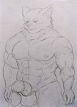 5_fingers abs absurd_res anthro balls big_biceps big_muscles big_pecs big_penis blush bodily_fluids bulge canid canine canis condom ejaculation erection filled_condom fingers genitals hi_res humanoid humanoid_genitalia humanoid_penis ichinoseura looking_pleasured male mammal muscular muscular_anthro muscular_male muscular_thighs nipples nude pecs penile penis pubes sexual_barrier_device solo sweat thick_thighs traditional_media_(artwork) vein veiny_penis wearing_condom wolf