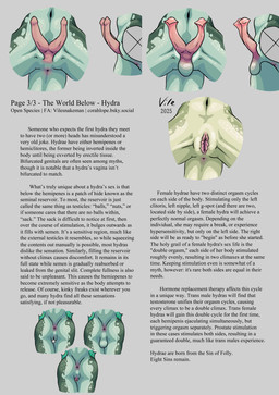 2_clitorises 2_penises animal_clitoris animal_genitalia animal_penis anus backsack balls bodily_fluids butt clitoris cum cum_inflation cum_inside erection female flared_penis genital_fluids genital_slit genitals green_body green_scales hemiclitores hemipenes inflation information_board male multi_clitoris multi_genitalia multi_penis penis pink_anus pink_penis pink_vulva presenting raised_tail scales spread_legs spreading tail text vulva corahlope mythology the_world_below aquatic hydra_(the_world_below) mythological_creature mythological_scalie scalie 2025 absurd_res english_text hi_res model_sheet