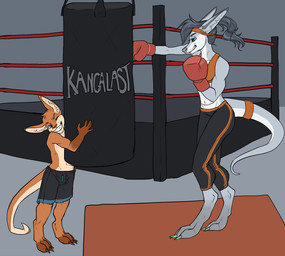 anthro bag bottomwear boxing bra clothing duo female fighting_ring gloves gym handwear inside male punch punching_bag ring shorts size_difference sport sports_bra standing training underwear young young_male mankokat kangaroo macropod mammal marsupial brother_(lore) sibling_(lore) sister_(lore)
