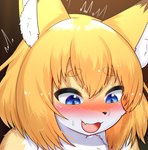 anthro blonde_hair blue_eyes blush bodily_fluids brown_body brown_fur cute_fangs dipstick_ears ear_markings fangs female female_anthro flying_sweatdrops fur hair inner_ear_fluff kemono looking_down multicolored_ears open_mouth short_hair solo sweat sweatdrop teeth tongue tuft white_body white_fur yellow_body yellow_fur horokusa0519 fox_next_door_(horokusa) canid canine fox mammal 2024 cropped digital_media_(artwork) icon reaction_image