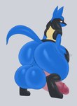 anthro balls big_balls big_butt big_penis blue_balls blue_body blue_fur blue_perineum butt butt_focus frown fur genitals glans glare huge_balls huge_butt huge_penis humanoid_genitalia humanoid_penis hyper hyper_balls hyper_genitalia hyper_penis looking_back male overweight overweight_anthro overweight_male paws penis perineum pink_penis presenting presenting_hindquarters solo thick_penis thick_thighs heftyotter puppypaws nintendo pokemon canid generation_4_pokemon lucario mammal pokemon_(species) 2021 absurd_res digital_media_(artwork) hi_res