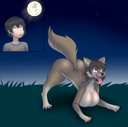 blue_eyes breast_growth breasts brown_body brown_fur brown_hair busty_feral butt claws featureless_breasts female feral full_moon fur gender_transformation grass growth hair human_to_feral male moon mtf_transformation night nude outside plant smile solo species_transformation star tail tongue tongue_out transformation flybeeth mythology canid canine human mammal mythological_canine mythological_creature werecanid werecanine werecreature werewolf 2023 digital_media_(artwork) hi_res