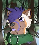 2020 absurd_res american_pine_marten anthro berry blep branch brown_body brown_fur bust_portrait cel_shading clothed clothing dark_pupils digital_media_(artwork) ears_up evergreen_tree fog food forest forest_background fruit fur grass gulonine hair hi_res hoodie iris kujo long_boi male mammal marten mustelid musteline nature nature_background orange_body orange_fur pine_marten pine_needles pine_tree plant portrait pupils purple_eyes shaded signature solo string teeth tongue tongue_out topwear tree water