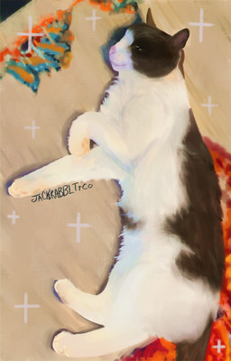 :3 ambiguous_gender bird's-eye_view countershade_fur countershading feral fluffy fluffy_chest fluffy_fur fur glistening glistening_eyes grey_body grey_fur happy high-angle_view lying lying_on_ground on_ground on_side pawpads paws pink_nose realistic rug smile solo sparkles white_body white_fur jackrabbit_(artist) domestic_cat felid feline felis mammal 2025 absurd_res colorful_theme digital_media_(artwork) digital_painting_(artwork) hi_res painting_(artwork) shaded signature female_(lore)