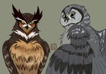 aegolius avian bird boreal_owl brown_body brown_feathers duo feathers female feral great_horned_owl grey_body grey_feathers grimble_(gogh) guardians_of_ga'hoole hi_res horned_owl kabuki-aku male owl simple_background skench_(gogh) true_owl yellow_eyes