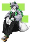 anthro fur green_eyes hood long_coat male multicolored_body multicolored_fur muscular muscular_anthro muscular_male solo harukaze110 lifewonders live_a_hero monomasa canid canine canis domestic_dog husky mammal nordic_sled_dog spitz hi_res