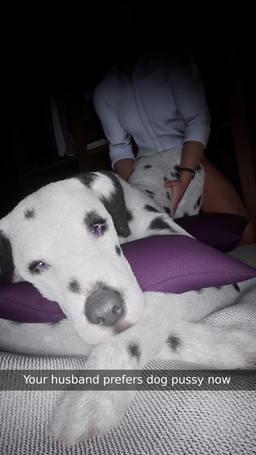 animal_genitalia animal_vulva ass_up balls bed bestiality big_penis bouncing_balls butt canine_genitalia canine_vulva caption_box cheating_husband claws clothed clothing cowgirl_position cucked_by_feral cuckold cuckquean deep_throat duo erection eyelashes fellatio female female_feral female_focus female_on_top female_penetrated feral feral_on_top feral_penetrated from_behind_position from_front_position front_view fur furniture genital_shot genitals hair human_on_feral human_penetrating human_penetrating_female human_penetrating_feral humanoid_genitalia humanoid_penis infidelity interspecies light_body light_skin looking_at_viewer male male/female male_human male_on_feral male_penetrating male_penetrating_female male_penetrating_feral mature_female multi_view on_bottom on_top oral oral_penetration partially_clothed penetration penile penile_penetration penis penis_shot plump_labia purple_eyes realistic realistic_anatomy realistic_feral rear_view recording sex solo_focus tail text three-quarter_view toe_claws tongue uncanny_valley vaginal vaginal_penetration vaginal_tugging vulva furjoe0 snapchat canid canine canis dalmatian domestic_dog human mammal 3d_(artwork) 3d_animation 9:16 animated digital_media_(artwork) english_text hi_res no_sound short_playtime webm