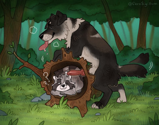 anatomically_correct anatomically_correct_feral anatomically_correct_genitalia anatomically_correct_penis animal_genitalia black_body black_fur bodily_fluids confusion cum dripping duo eyes_closed feral feral_on_feral forest fur genital_fluids genitals glory_hole grass grey_body grey_fur humping knot leaking_precum log looking_pleasured male male/male masturbation multicolored_body multicolored_fur penis plant precum precum_drip precum_on_face question_mark red_penis rock sheath sigh size_difference sleeping surprise_oral tail tail_motion tailwag tongue tongue_out tree tree_stump waking_up white_body white_fur wood fernsigillum coontail coontail_v2 canid canine canis domestic_dog mammal procyonid raccoon 2026 hi_res