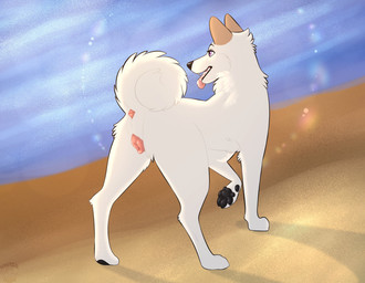 animal_genitalia animal_vulva anus beach black_nose black_pawpads canine_genitalia canine_vulva curled_tail female feral fur genitals pawpads paws pink_anus pink_vulva purple_eyes solo summer tail tongue tongue_out vulva white_body white_fur nauticalcanine canid canine canis domestic_dog mammal shiba_inu spitz absurd_res hi_res