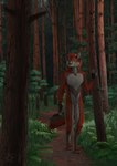 4_toes 5_fingers anthro day detailed_background digitigrade feet fingers forest fur grass hair male outside plant red_body red_fur red_hair solo toes tree white_body white_fur kero_tzuki canid canine fox mammal 2022 digital_media_(artwork) hi_res