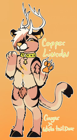 ambiguous_gender anthro antlers claws collar countershading crotch_tuft evergreen_tree hair hooves horn long_tail paws pine_tree plant smile smirk solo tail tree tuft jackrabbit_(artist) copper_lincoln_(jackrabbit) cougar deer felid feline hybrid mammal new_world_deer white-tailed_deer 2025 absurd_res hi_res model_sheet