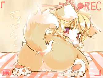 anthro anus biped blush butt camera_view feet female genitals hair hindpaw kemono kneeling loli looking_at_viewer looking_back lying nude open_mouth paws presenting purple_eyes raised_tail recording ribbons short_hair solo tail text vulva young young_anthro young_female nyankone canid canine canis domestic_dog mammal japanese_text translated