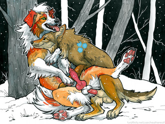 animal_genitalia animal_penis arm_tuft balls canine_genitalia canine_penis claws duo elbow_tuft erection feet feral feral_on_feral fluffy forest genitals green_eyes imminent_sex inner_ear_fluff knot knot_in_sheath knotted_penis lipsticking looking_at_another looking_at_partner looking_at_viewer male male/male male_feral outside pawpads paws penis penis_tip plant sheath snow soles teeth toe_claws tongue tongue_out tree tuft whisker_spots whiskers yellow_eyes heatherwolf kanon_(applejacksville) ma tukamos_(character) australian_shepherd canid canine canis coyote domestic_dog herding_dog mammal pastoral_dog sheepdog 2025 4:3 colored hi_res marker_(artwork) shaded traditional_media_(artwork)