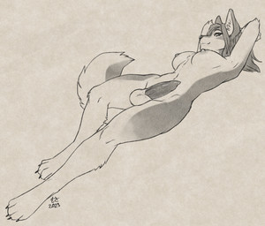 animal_genitalia animal_penis anthro balls breasts canine_genitalia canine_penis erection genitals gynomorph intersex looking_at_viewer lying nipples nude on_back penis solo mosa noishkel alaskan_malamute canid canine canis domestic_dog mammal nordic_sled_dog spitz 2023 hi_res monochrome