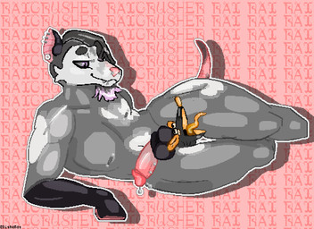 animal_genitalia anthro duo facial_piercing facial_tuft genital_piercing genitals hair lying male male/male nipple_piercing nipples penis penis_piercing piercing sheath thigh_crush tuft dither_rat tar_(dither_rat) american_opossum mammal marsupial murid murine rat rodent virginia_opossum hi_res