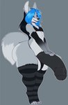 anthro arm_warmers armwear balls big_balls big_penis black_hair black_lips black_nose blue_eyes blue_hair blue_highlights bra butt clothed clothing crossdressing ear_piercing ear_ring ear_stud eyelashes femboy fluffy fluffy_tail fur genitals grey_body grey_fur hair half-erect highlights_(coloring) huge_penis hyper hyper_genitalia hyper_penis legwear lips male multicolored_hair panties pattern_clothing pattern_legwear pattern_stockings penis piercing ring_piercing simple_background smile solo stockings striped_clothing striped_legwear striped_stockings stripes tail thick_thighs thigh_highs two_tone_hair underwear wide_hips locosaltinc sheazu canid canine hybrid mammal hi_res