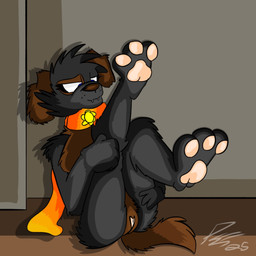 anthro anus black_body black_fur brown_body brown_fur chest_tuft collar female foot_rub fur genital_focus genitals pawpads paws raised_paw scarf solo tail tail_motion tail_tuft tuft vulva vulva_focus piperis caroline_the_mutt canid canine canis domestic_dog mammal 1:1
