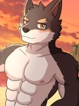 abs anthro athletic athletic_anthro athletic_male beach male muscular muscular_anthro muscular_male pecs seaside solo sunset dragokaizer666 knights_college oscar_lawrence canid canine canis domestic_dog mammal 3:4 hi_res