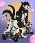 2_penises anal anal_penetration anthro anthro_on_anthro anthro_penetrated anthro_penetrating anthro_penetrating_anthro anus black_body black_fur black_hair black_pawpads black_skin bodily_fluids butt cherry_blossom collar cum cum_in_ass cum_inside cumshot diphallism ejaculation eyes_closed facial_piercing fangs flower frenum_ladder frenum_piercing fur genital_fluids genital_piercing genitals gold_(metal) gold_anklet gold_armlet gold_cock_ring gold_collar gold_ring gold_toe_ring guiche_piercing hair half-closed_eyes highlights_(coloring) hybrid_genitalia hybrid_penis knot labret_piercing ladder_piercing lip_piercing looking_pleasured male male/male male_penetrated male_penetrating male_penetrating_male metal_collar multi_genitalia multi_penis narrowed_eyes nose_piercing nose_ring nude open_mouth open_smile orgasm pawpads paws penetration penile penile_penetration penis penis_in_ass penis_piercing perineum piercing plant prunus_(flower) purple_background ring_piercing sex simple_background smile teeth tongue tongue_out vertical_diphallism white_body white_fur white_highlights fatigue_(artist) nowi_(oolongmatchatea) philomaeus canid canine canis domestic_dog husky mammal murid murine nordic_sled_dog rat rodent spitz hi_res