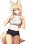 amber_eyes anthro athletic athletic_anthro athletic_female athletic_wear big_breasts biped blonde_hair blush bodily_fluids bottomwear bra breasts butt butt_from_the_front canid canine cleavage clothed clothed_anthro clothed_female clothing dipstick_tail dolphin_shorts female female_anthro fluffy fluffy_tail fox front_view fully_clothed fully_clothed_anthro fully_clothed_female gym_bottomwear gym_shorts hair hi_res inner_ear_fluff jeifier long_hair looking_at_viewer mammal markings natural_breasts navel nervous portrait rebekah shorts solo sports_bra tail tail_markings tears three-quarter_portrait tuft underwear