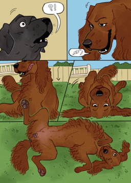 4_toes ambiguous_feral ambiguous_gender anatomically_correct anatomically_correct_genitalia anatomically_correct_vulva animal_genitalia animal_vulva backyard black_body building canine_genitalia canine_vulva dialogue digitigrade duo feet female female_feral fence feral floppy_ears fur genitals gesture grass hair hindpaw imminent_sex long_ears long_hair lying nipples on_back one_eye_closed outside pawpads paws plant quadruped red_body red_fur smile speech_bubble suggestive suggestive_look suggestive_pose surprised_face tail toes tongue tongue_out vulva fernsigillum bird_dog canid canine canis domestic_dog hunting_dog irish_setter labrador mammal retriever setter colored comic hi_res male_(lore)