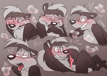 ahegao anthro balls big_tail black_body black_fur blush blushing_profusely clothing fur genitals hair heart_symbol holding_clothing holding_object holding_panties holding_underwear implied_orgasm in_heat looking_at_viewer looking_down looking_pleasured lying male markings on_back panties smile solo steam steamy_breath striped_markings striped_tail stripes tail tail_markings teeth tongue tongue_out underwear white_body white_fur jusrhkuhoh looney_tunes warner_brothers pepe_le_pew mammal mephitid skunk hi_res