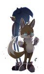 anthro duo male simple_background white_background tea_patriarch sega sonic_the_hedgehog_(series) miles_prower sonic_the_hedgehog canid canine eulipotyphlan fox hedgehog mammal hi_res tagme