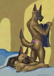 2023 5_fingers anthro athletic athletic_anthro athletic_male back_muscles bed bed_covers bedding black_nose brown_body brown_fur butt canid canine canis claws clothed clothing digital_media_(artwork) domestic_dog duo eyes_closed facial_hair finger_claws fingers fur furniture german_shepherd goatee herding_dog holding_clothing holding_object holding_shirt holding_topwear humanoid_hands jacob_caesari looking_at_another looking_at_partner looking_back looking_back_at_another looking_back_at_partner lying lying_on_bed male male/male malinois_dog mammal marcus_leo_varro on_bed on_front pastoral_dog sampsonwoof sheepdog shirt signature sleeping smile story story_in_description thong topless topless_anthro topless_male topwear under_covers underwear