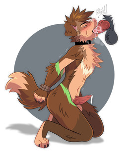 animal_genitalia animal_penis anthro arm_tuft balls bdsm black_collar bondage bound brown_body brown_fur brown_hair canine_genitalia canine_penis chest_tuft collar dipstick_tail disembodied_penis duo elbow_tuft erection floppy_ears fur genitals green_eyes hair leg_tuft male male/male male_anthro male_penetrated male_penetrating male_penetrating_male markings nude oral oral_penetration orange_balls orange_body orange_fur penetration penis penis_in_mouth red_penis sex short_hair side_view solo_focus tail tail_markings tuft princelykaden rory_(rorygoldfish) canid canine mammal hi_res