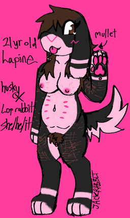 andromorph anthro belly_nipples breasts cute_fangs fangs floppy_ears genitals hair happy intersex lop_ears mullet nipples nude nude_anthro pawpads paws pink_nipples pubes solo teeth tongue tongue_out vulva jackrabbit_(artist) lapine_(jackrabbit) canid canine canis domestic_dog domestic_rabbit husky hybrid lagomorph leporid lop_rabbit mammal nordic_sled_dog oryctolagus rabbit spitz absurd_res digital_media_(artwork) guide_lines hi_res ibispaint_(artwork) model_sheet sketch nonbinary_(lore) trans_(lore) trans_man_(lore)