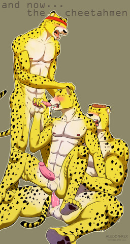 abs accessory anal anal_penetration animal_genitalia anthro anthro_on_anthro balls biceps big_muscles blush bodily_fluids chair_position cum cum_in_ass cum_in_mouth cum_inside cum_on_penis cum_on_tongue digitigrade erection eyes_closed feet from_behind_position fur genital_fluids genitals group group_sex hair handjob headband intraspecies leaking male male/male male_on_bottom male_on_top male_penetrated male_penetrating male_penetrating_male markings muscular muscular_male nipples nude on_bottom on_top oral paws pecs penetration penile penis sex sheath sitting spots standing straddling tail teeth threesome toes tongue trio yellow_body yellow_fur aledonrex action_52 cheetahmen apollo_(cheetahmen) aries_(cheetahmen) hercules_(cheetahmen) cheetah felid feline mammal 2011 brother_(lore) brothers_(lore) incest_(lore) sibling_(lore)